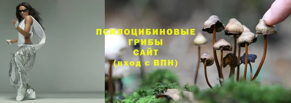 MDMA Богданович