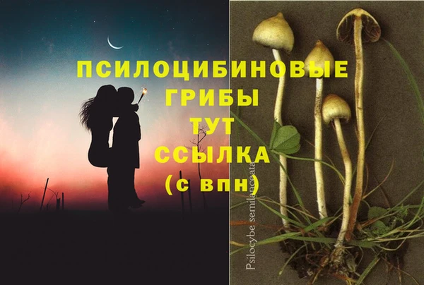 MDMA Богданович
