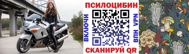 Галлюциногенные грибы мицелий где купить наркоту Надым